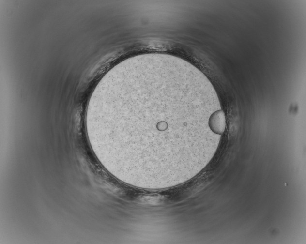 X0000112730595200910011159