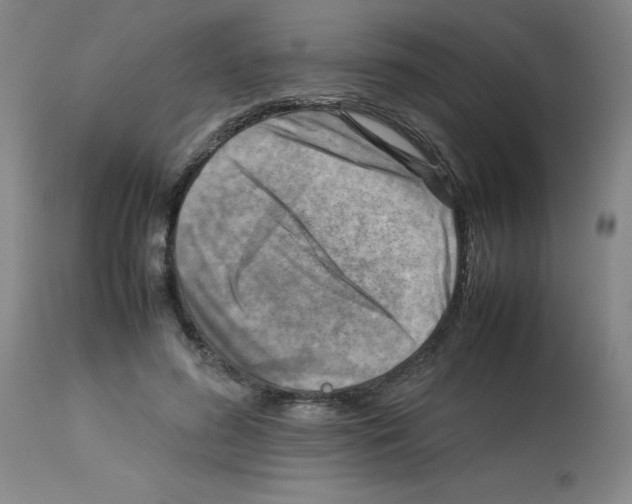 X0000112730596200910011159