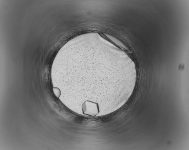 X0000112730597200910011159