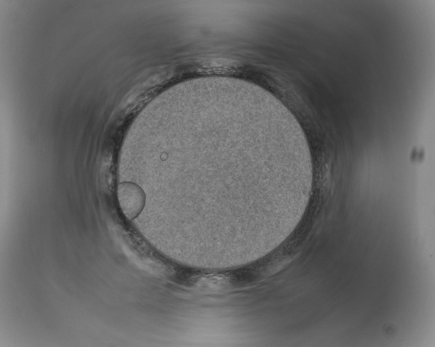 X0000112730599200910011159