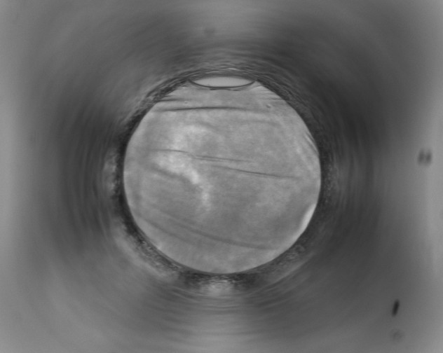 X0000112730600200910011159