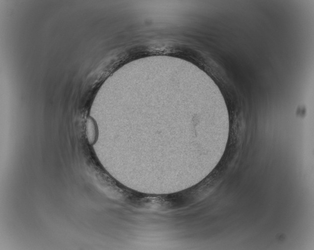 X0000112730601200910011159