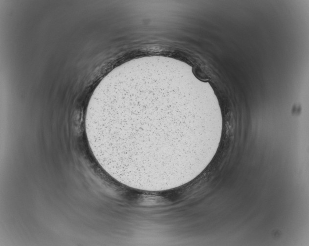 X0000112730605200910011159