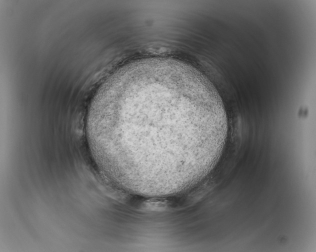 X0000112730606200910011159