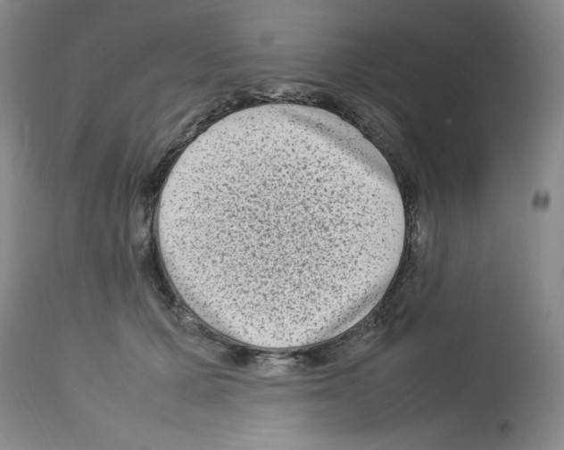 X0000112730607200910011159