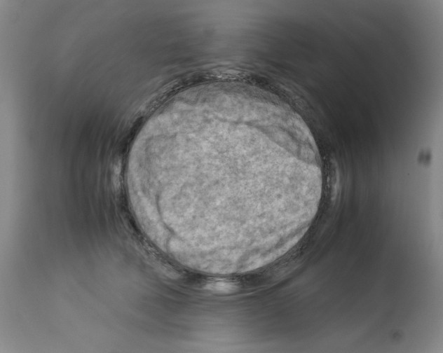 X0000112730610200910011159