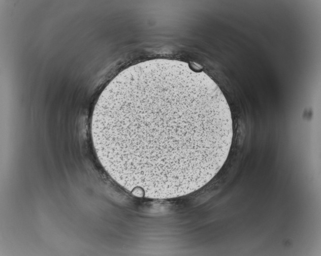 X0000112730612200910011159