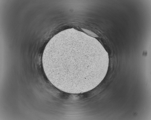X0000112730613200910011158