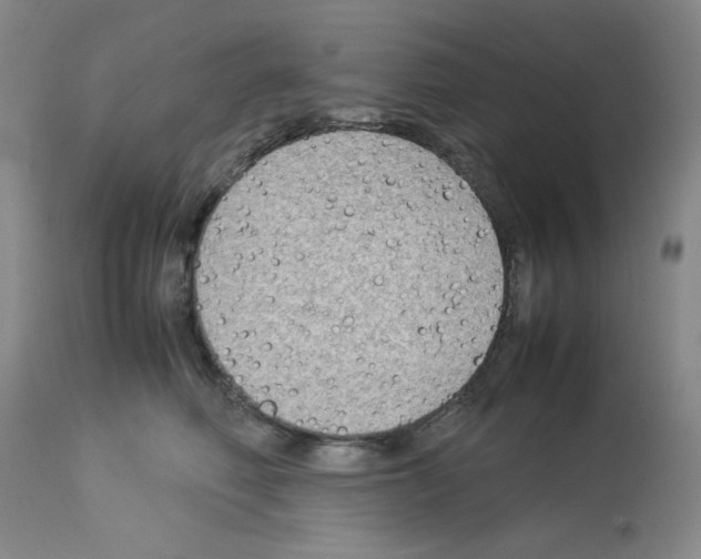 X0000112730614200910011158