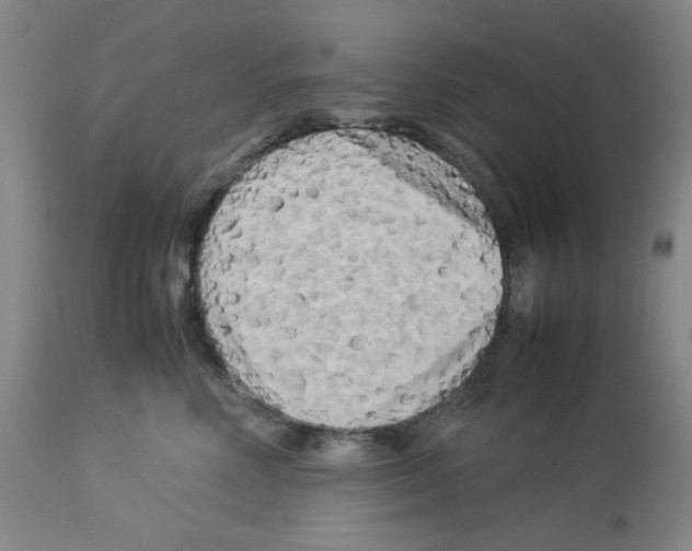X0000112730618200910011158