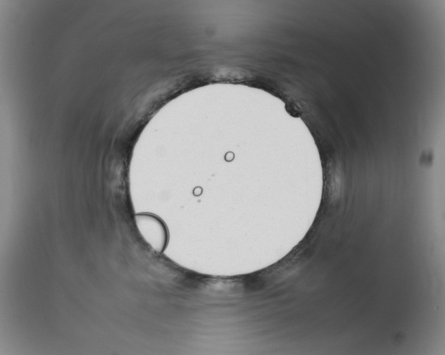 X0000112730619200910011158
