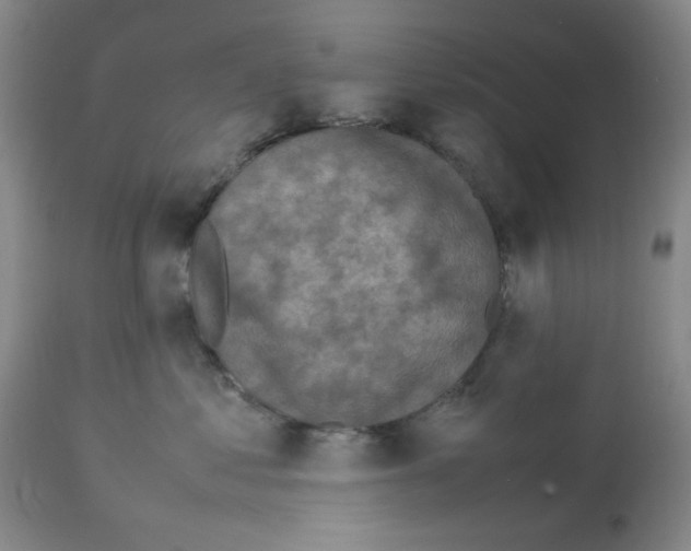 X0000112730621200910011158