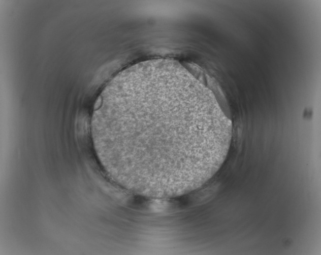 X0000112730623200910011158