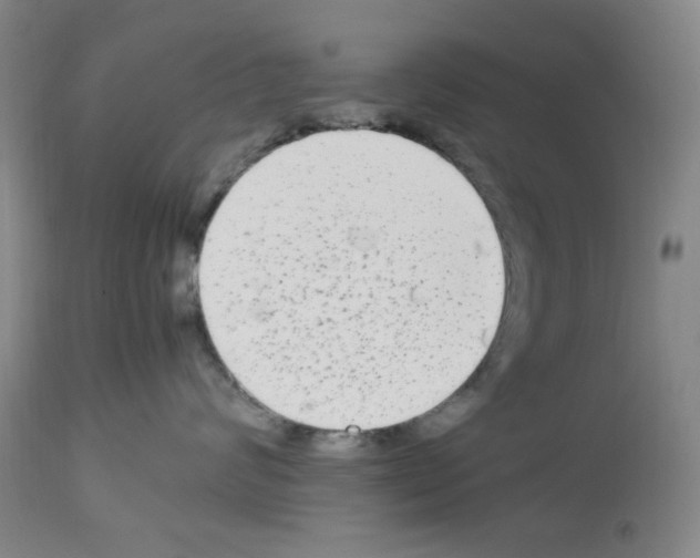 X0000112730624200910011158