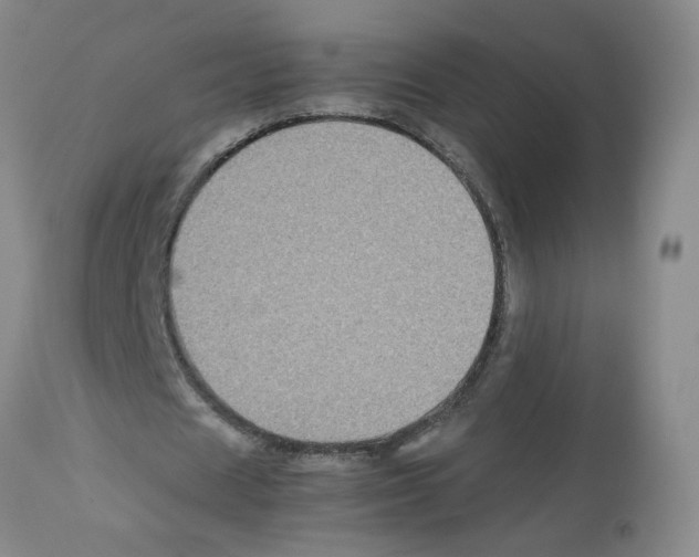 X0000112730625200910011158