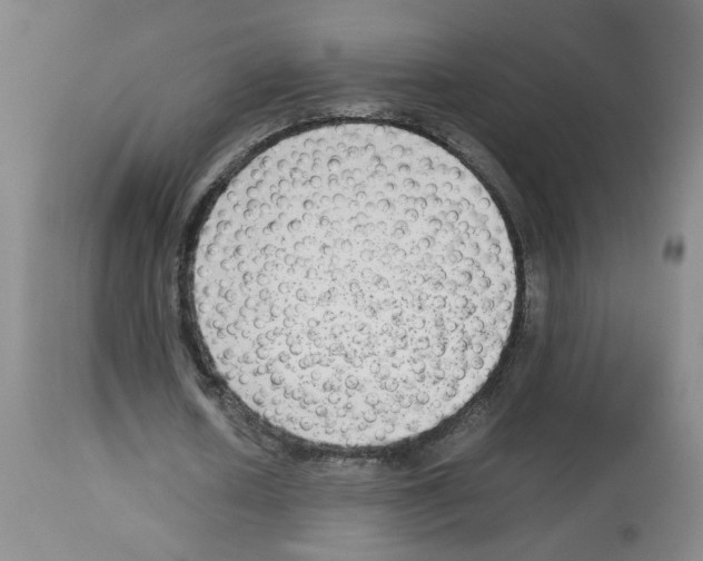 X0000112730626200910011158