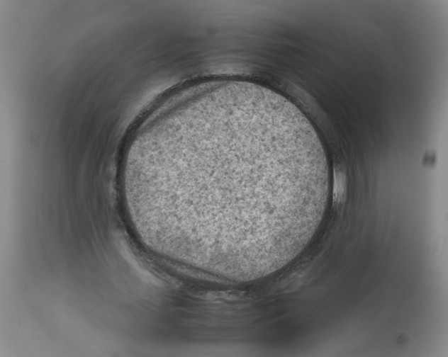 X0000112730627200910011158