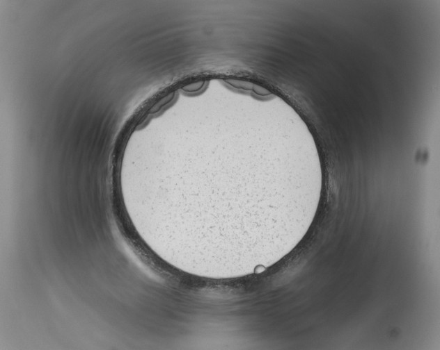 X0000112730630200910011158