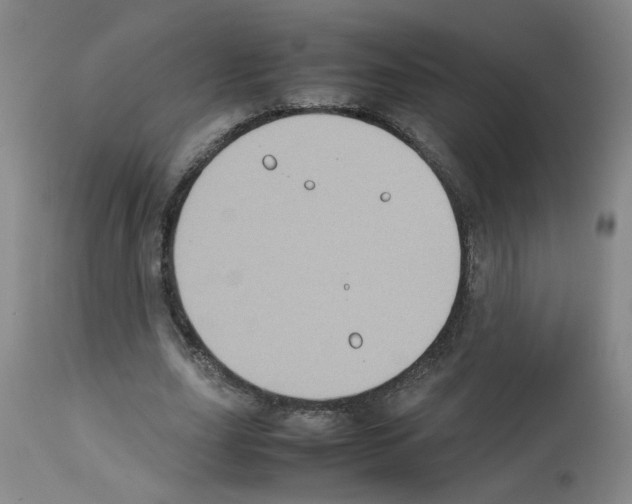 X0000112730631200910011158