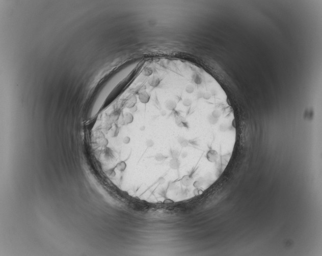 X0000112730634200910011158