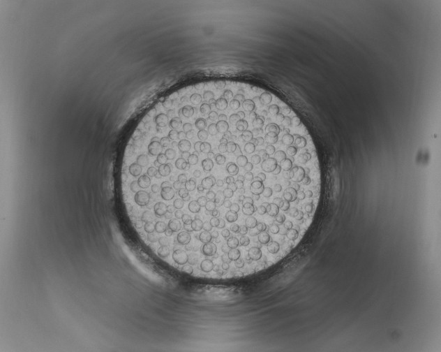X0000112730638200910011158