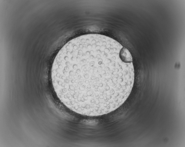 X0000112730639200910011158