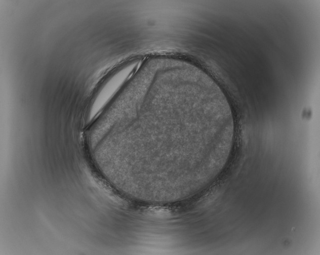 X0000112730640200910011158