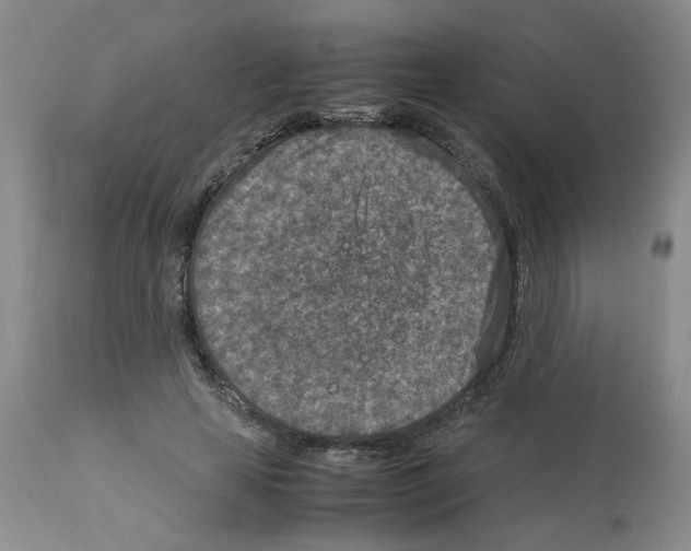 X0000112730641200910011158