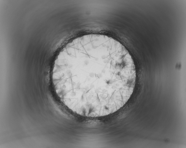 X0000112730642200910011158