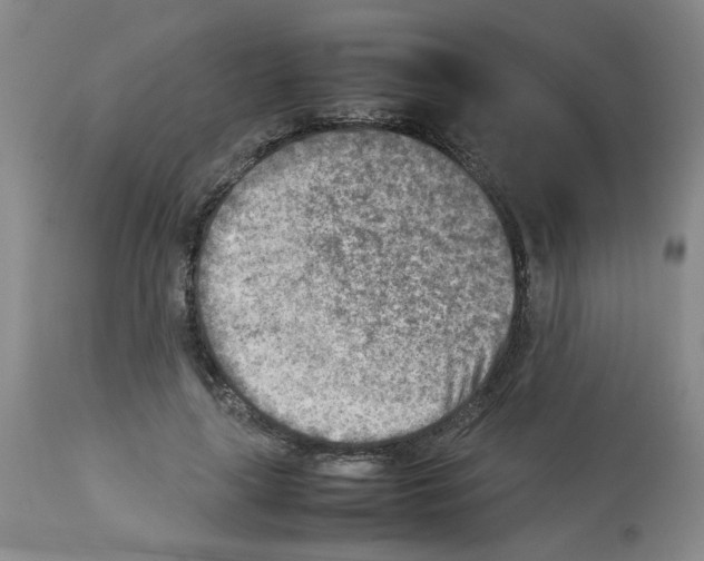 X0000112730643200910011158