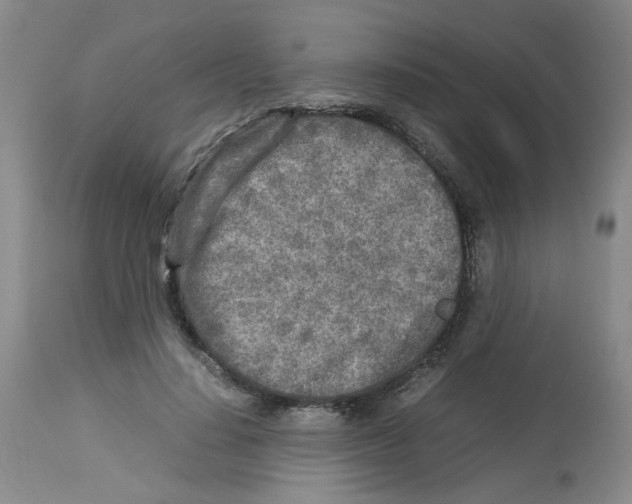 X0000112730644200910011158