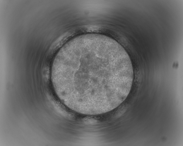 X0000112730648200910011158