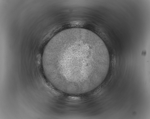 X0000112730649200910011158
