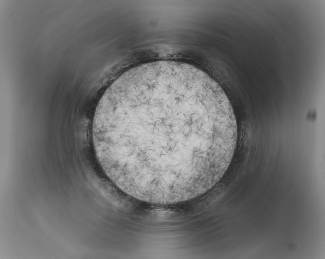 X0000112730650200910011158