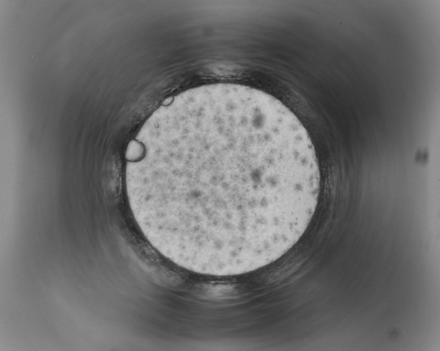 X0000112730651200910011158