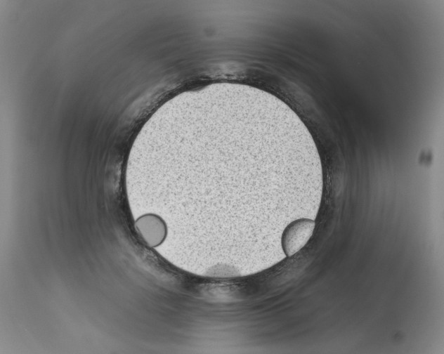 X0000112730652200910011158