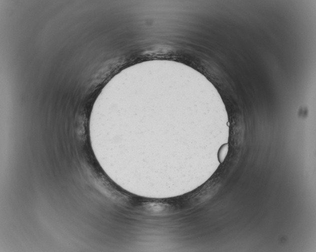 X0000112730654200910011158