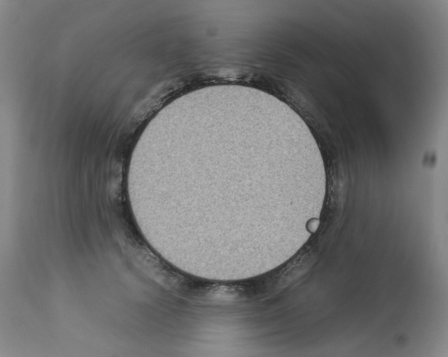 X0000112730656200910011158