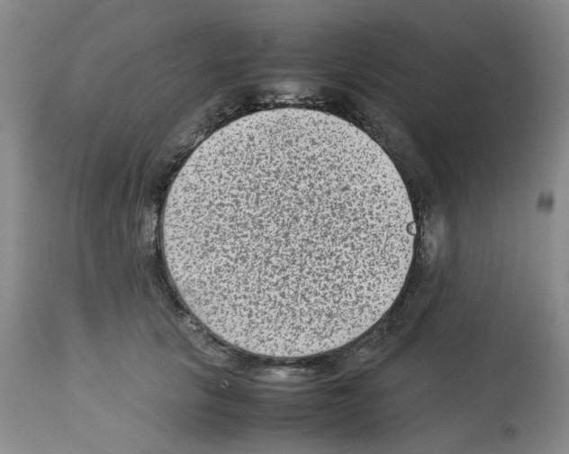 X0000112730657200910011158