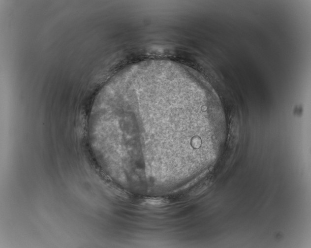 X0000112730659200910011158