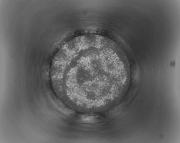 X0000112730661200910011158