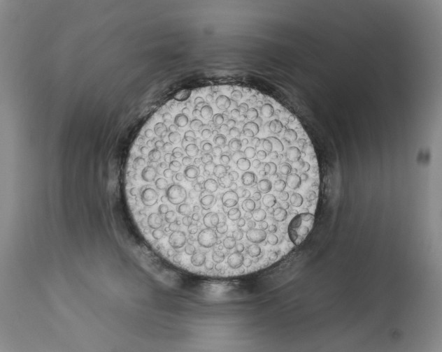 X0000112730662200910011158