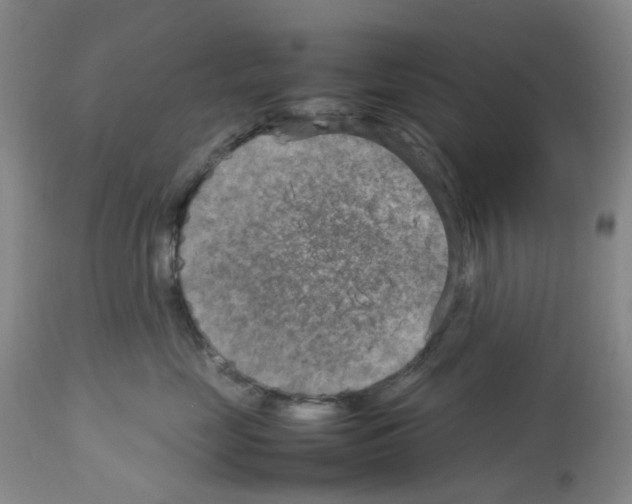 X0000112730669200910011158
