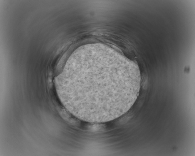 X0000112730670200910011158