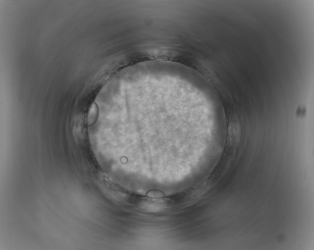 X0000112730671200910011158