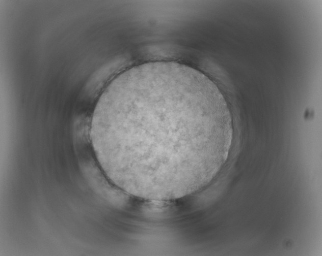 X0000112730672200910011158