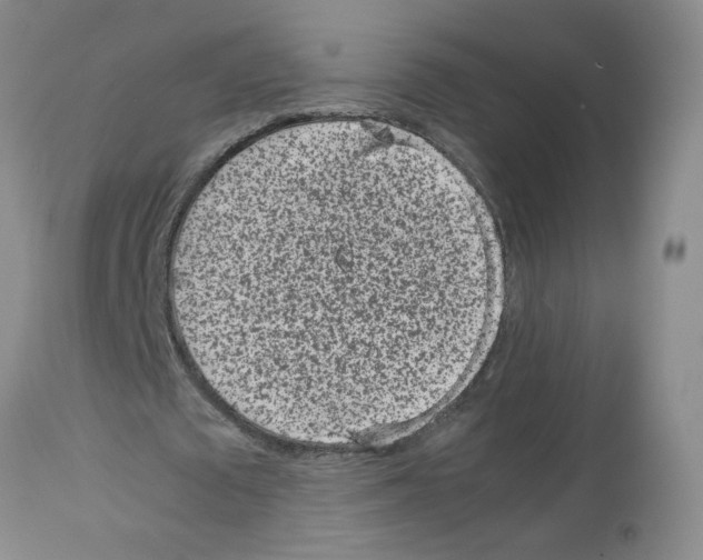 X0000112730673200910011158