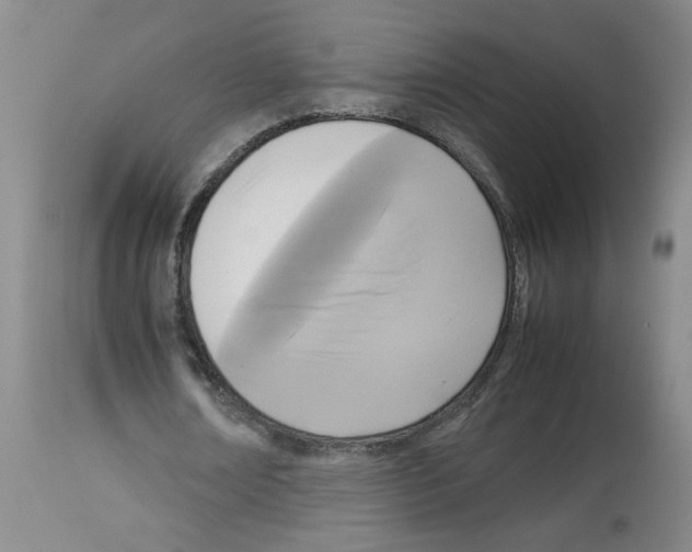 X0000112730674200910011158