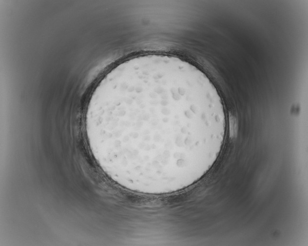 X0000112730675200910011158