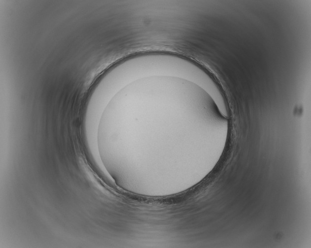 X0000112730677200910011158